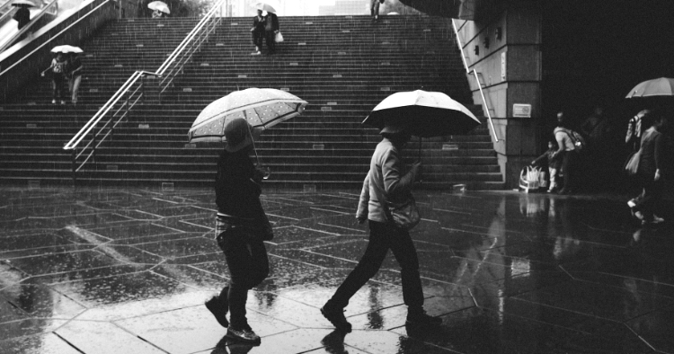 Regen Herbst entrada Fussmatten